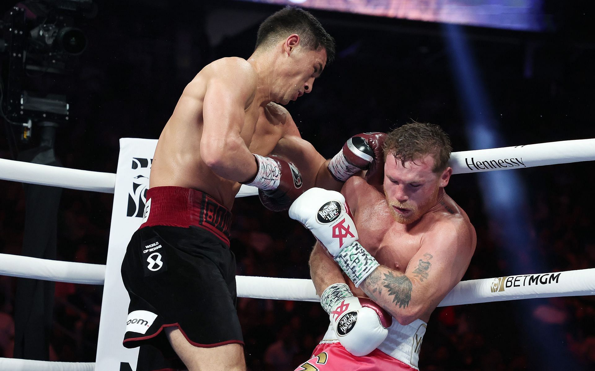 Canelo Alvarez vs. Dmitry Bivol